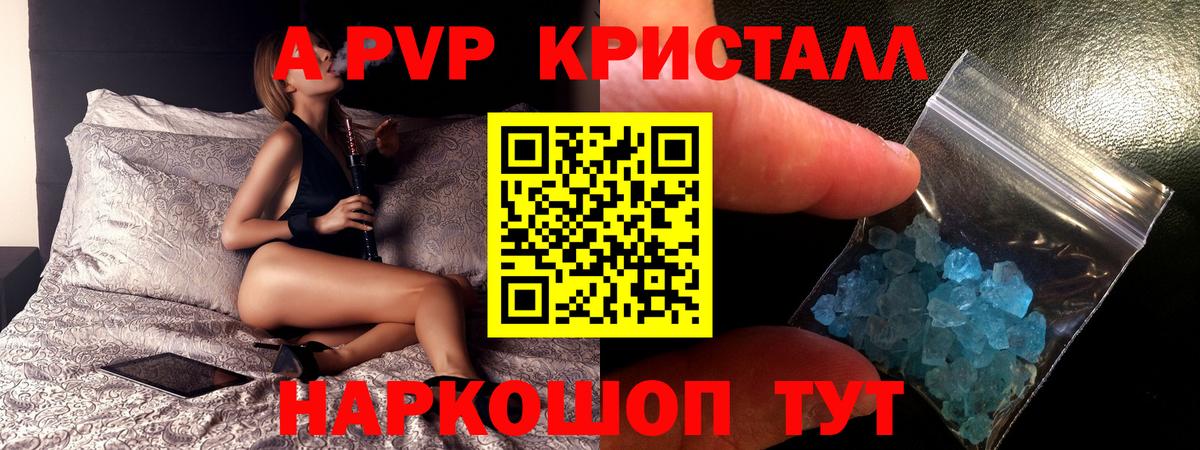 A PVP СК КРИС Балтийск