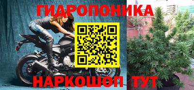 дурь Заволжье