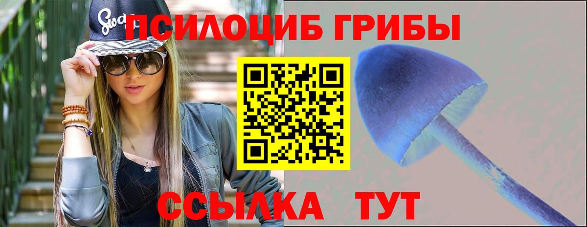 Балтийск  Псилоцибиновые грибы Cubensis  Вход с VPN  Галлюциногенные грибы MAGIC MUSHROOMS 